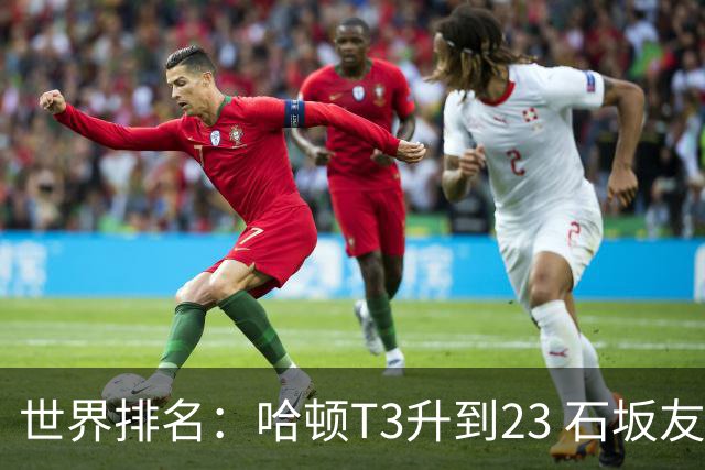 世界排名：哈顿T3升到23 石坂友宏日巡首胜412位