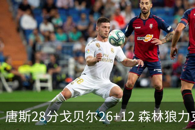 唐斯28分戈贝尔26+12 森林狼力克黄蜂4连胜